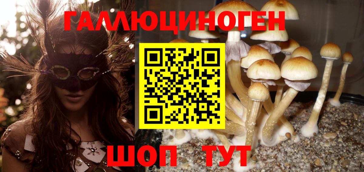 Галлюциногенные грибы прущие грибы  Вход с VPN  Сальск 